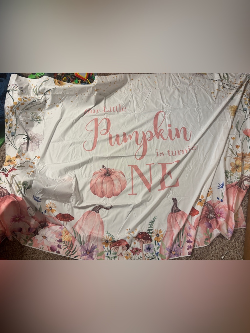 Pumpkin Themed Birthday Backdrop
